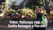 Video: Maltempo oggi in Emilia Romagna e Marche