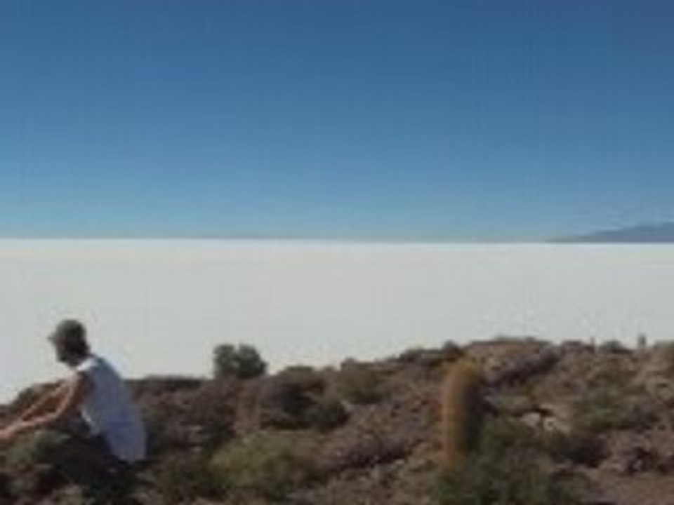 Salar vue de l'ile du poisson