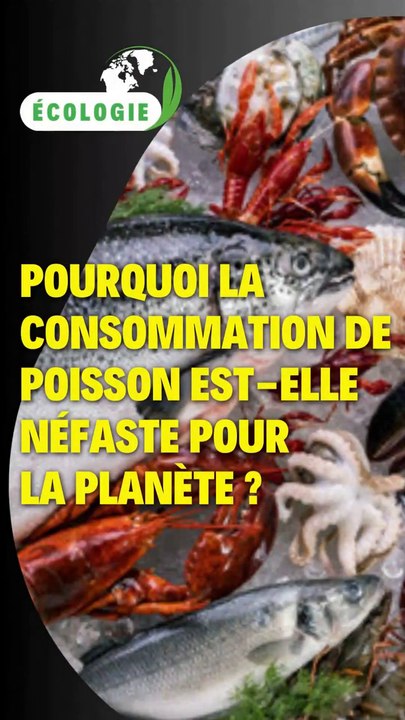 Pourquoi la consommation de poisson est-elle néfaste pour la planète ?