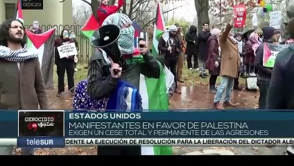 Manifestantes estadounidenses exigen alto al fuego permanente en Gaza
