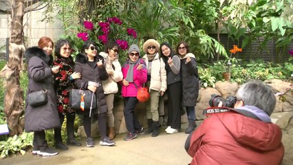 "찬 바람 끄떡없어요!"...추위 이기는 겨울 나들이 / YTN