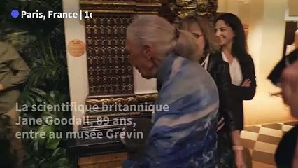 La primatologue Jane Goodall inaugure sa statue de cire au musée Grévin