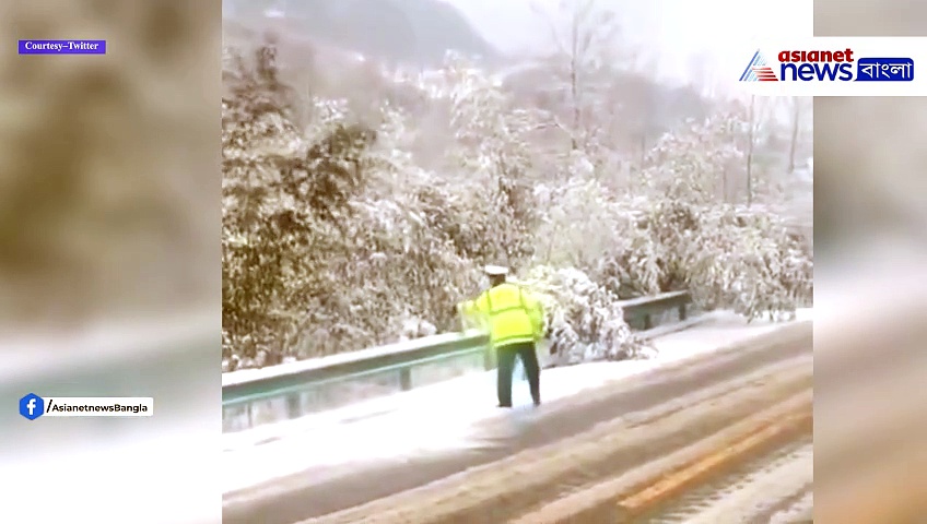 Viral Video: তুষার ঝেরে দিতেই আবার স্বমহিমায় দাঁড়িয়ে যাচ্ছে গাছ, দেখুন মন ভাল করা ভিডিও