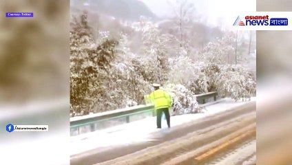 তুষার ঝেরে দিতেই আবার স্বমহিমায় গাছ