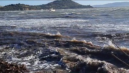 Vento fortissimo, danni in Maremma. Barca rompe gli ormeggi e va alla deriva