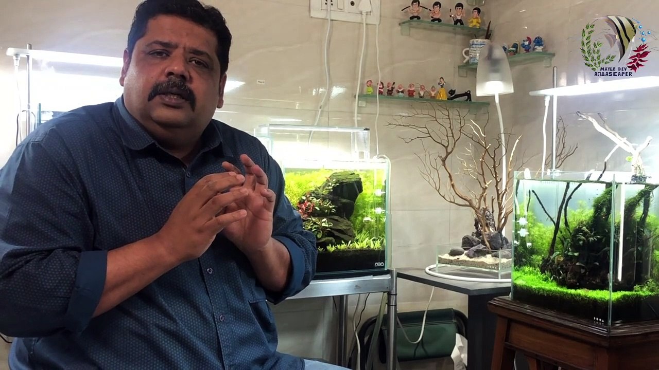 How to Practice the Good in Life _ Happy Thoughts video _ the buffalo you don't have _ Being Happy