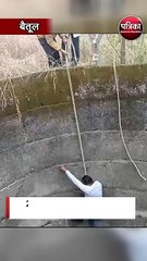 बेतूल में 20 दिन से 45 फीट गहरे कुएं में लटका सांप