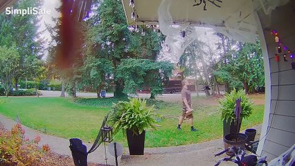 Jumping Spider Decoration Spooks Delivery Man
