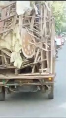 झील संरक्षण के पास प्रतिमाओं से निकले बांस का रिकॉर्ड ही नहीं