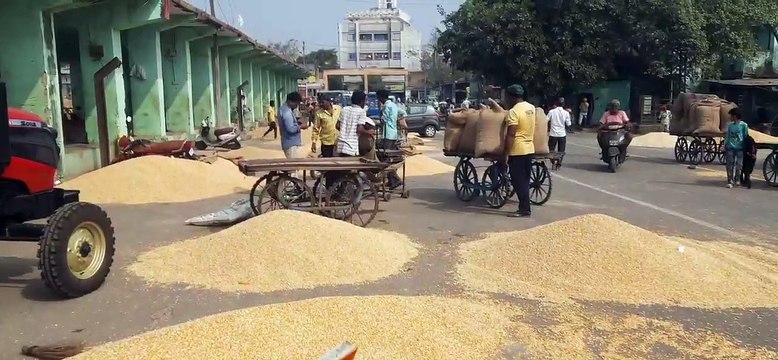 कृषि उपज मंडी में फिर से शुरू हुआ कारोबार