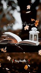 حضور صلی اللہ علیہ والہ وسلم نے فرمایا جب تم سونے لگو