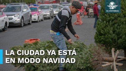 Comienza diciembre y capitalinos se lanzan a comprar su arbolito de Navidad
