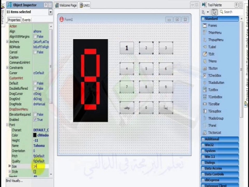 برمجة الترقيم التلقائي بلغة الدالفي