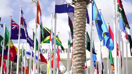 Casi 120 países se comprometen en la COP28 a triplicar la capacidad de energías renovables