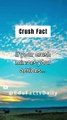 Crush Fact...#facts #subscribe #viral #amazingfacts #shorts #crush #viralshort #shortvideo #short