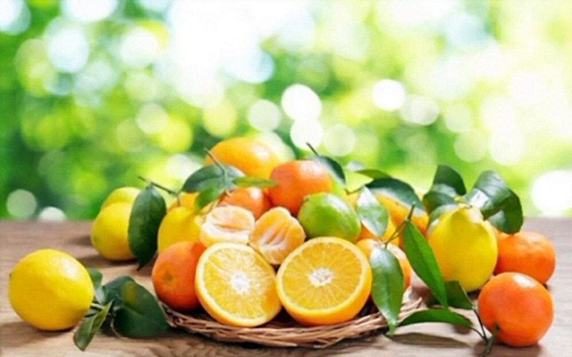 Fruits of Life Music | English Music | English Song