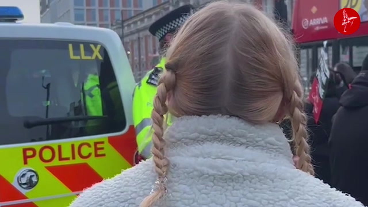 Two people are alleged to have been arrested at a pro-Palestine protest in Brixton