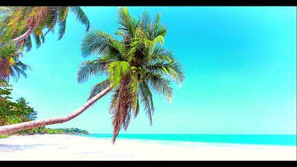 Kal Kya Hoga - R D Burman  Remastered