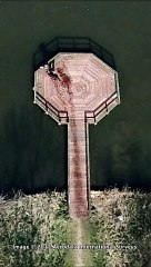 Google Earth Captured A Couple Dumping A Body #shorts #viral #facts