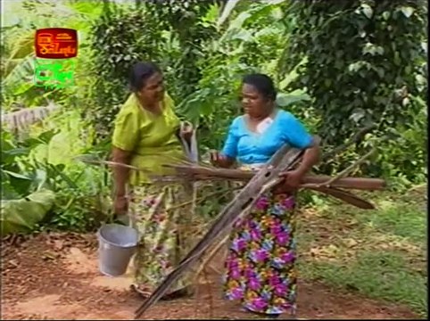 කෝපි කඩේ - අඹ යාළුවා | Kopi Kade - 996 | Sinhala Old Teledrama