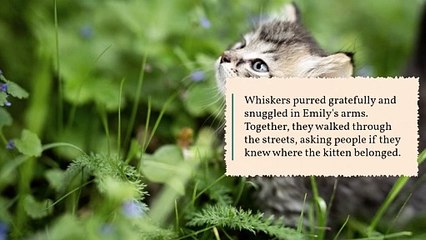 Improve Your Language through Engaging Stories||The Lost Kitten #learnenglish