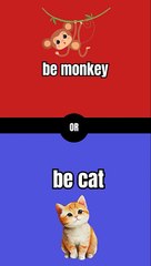 what would you rather ?