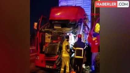 İnegöl'de ağaca çarpan TIR'ın şoförü kurtarıldı