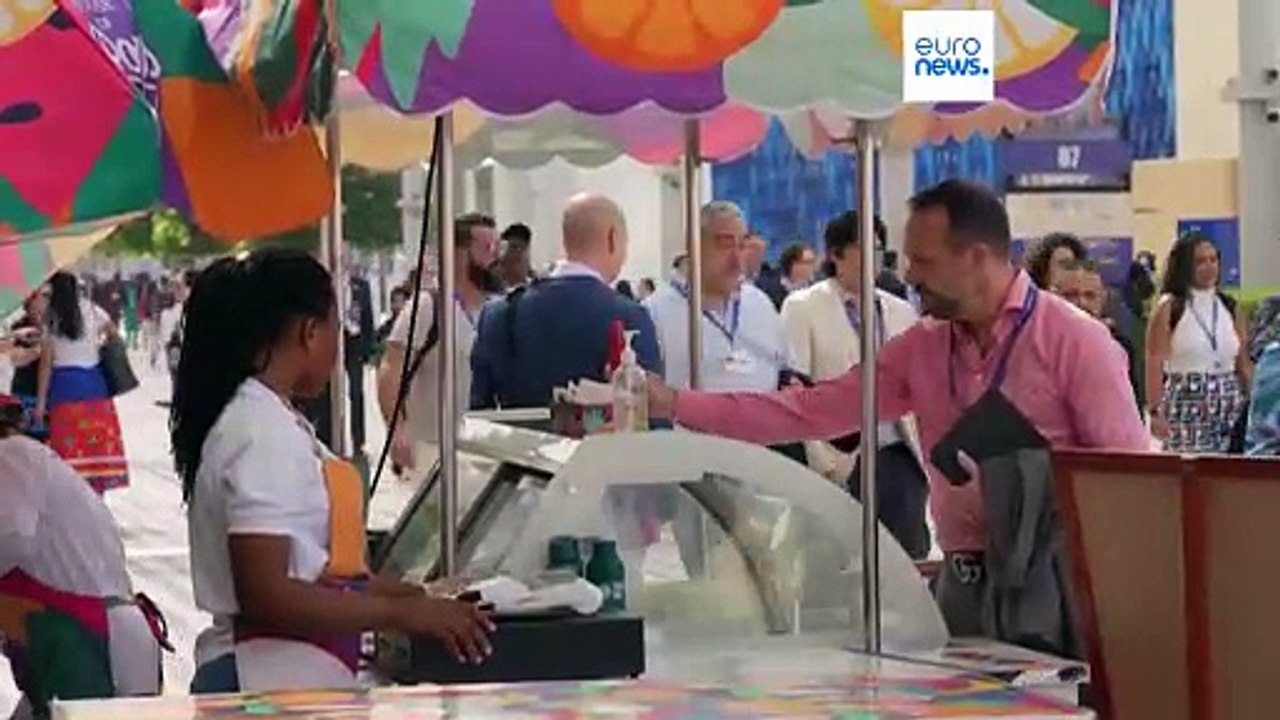 COP 28 : 116 pays s'engagent pour tripler les énergies renouvelables