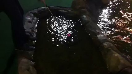 Greatest | funny | funny video | funny  videos 2023 | funny video download | funny videos short | funny videos for kids | funny video clips | funny videos 2023 tiktok | funny videos 2022 |  funny videos youtube