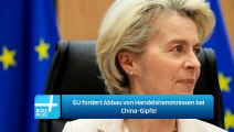 EU fordert Abbau von Handelshemmnissen bei China-Gipfel