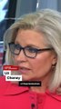 Liz Cheney warns about Trump re-election