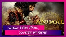 Animal Box Office Collection Day 6: 'Animal' ने बॉक्स ऑफिसवर 300 कोटींचा टप्पा केला पार