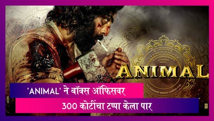 Animal Box Office Collection Day 6: 'Animal' ने बॉक्स ऑफिसवर 300 कोटींचा टप्पा केला पार