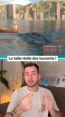 La vérité sur la taille des tsunamis : ce que vous devez savoir 🌊