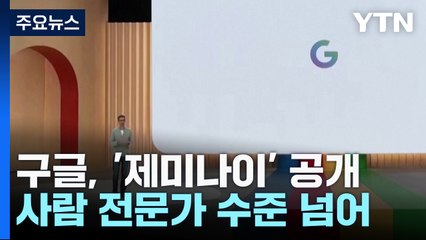 "AI 언어모델, 사람 전문가 수준도 넘었다" 구글 '제미나이' 공개 / YTN