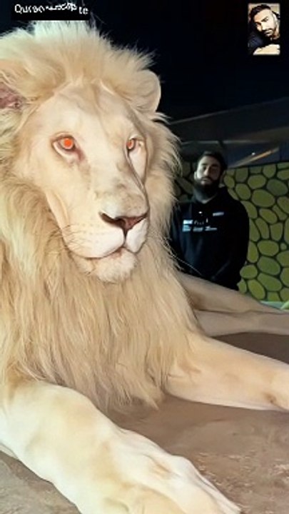 Quran e pak ki talawat ka mojeza