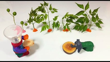 كرتون أصحاب الفيل شون صلصال