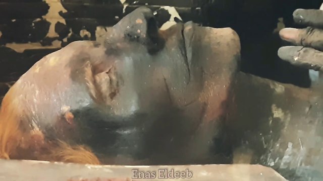 لا تعبثوا بالتاريخ نظرية جديدة يدعمها اليهود تأكد أن توت عنخ امون وأخناتون والملكة تي يهود عبرانين وأن جسد النبي يوسف في المتحف المصريDo not tamper with history. A new theory supported by the Jews confirms that Tutankhamun and Akhenaten are Jews, th