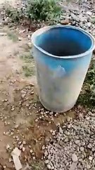 Extraction of gold and precious metals