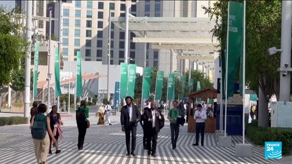 COP 28 : des activistes français voyagent à Dubaï sans prendre l'avion