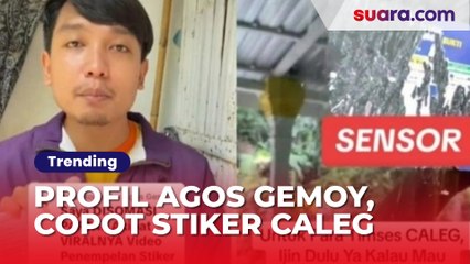 Profil Agos Gemoy, Tiktoker Copot Stiker Caleg