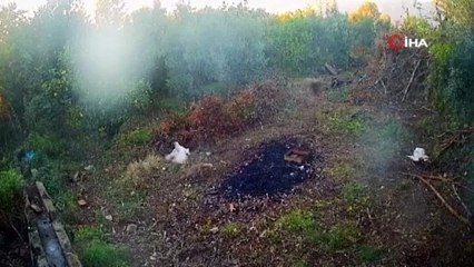 50 tavuğun akıbeti kamera görüntülerini izleyince ortaya çıktı
