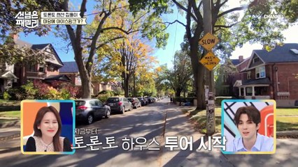 토론토 한복판에 OOO이 왜 있어? K-문화에 진심인 캐나다의 모든 것 #토론토 #국제부부
