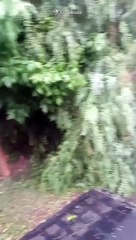 Incidentes por la fuerte tormenta en Salta