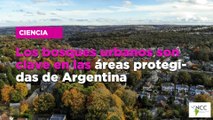 Los bosques urbanos son clave en las áreas protegidas de Argentina