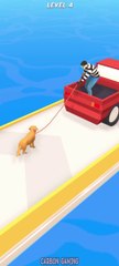 Pets Run vs Dog