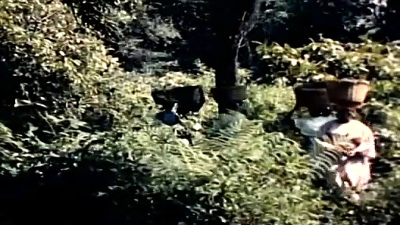 Rc Cola Spot — FEAT. ART LINKLETTER & NANCY ● (From NANCY SINATRA: "MOVIN' WITH NANCY") · (2005)