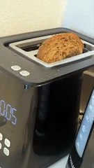 Funny cat dog animals compilation 5 animal videos on Instagram Tiktok