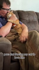 Funny cat Funny cat dog animals compilation animal videos on Instagram Tiktok