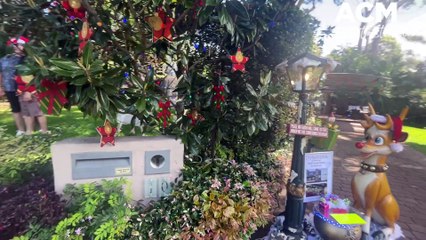 The Sanders family calls time on epic light display after 30 years.